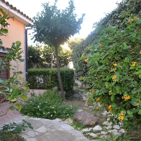 Via Budroni - Fbu-sal01 *
