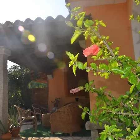 Via Budroni - Fbu-sal01 San Lorenzo (Budoni)